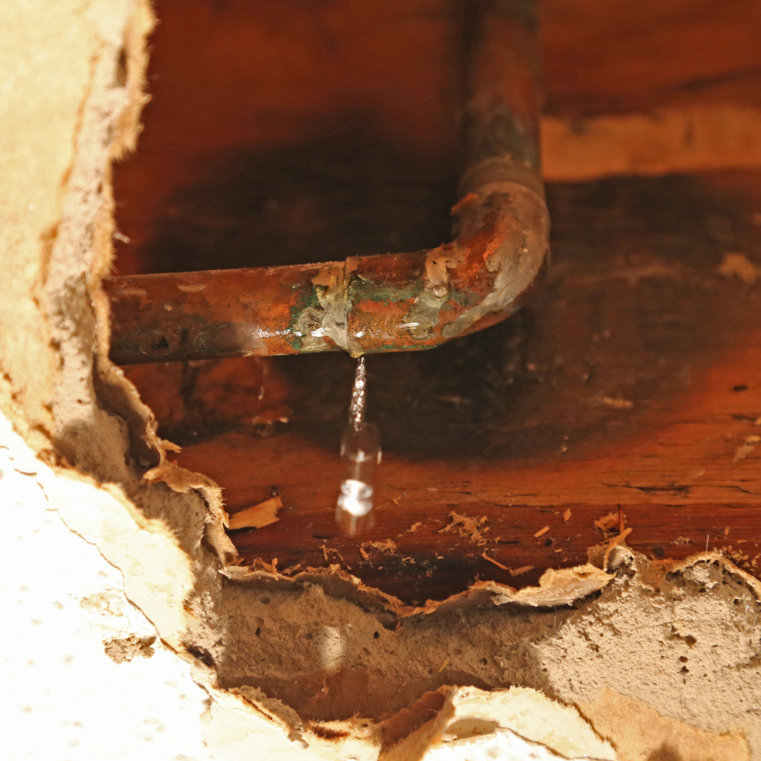 Here’s What You Need To Do With Leaking Pipes Plumber In San Francisco Larratt Brothers